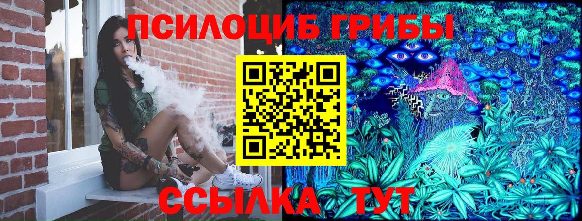Псилоцибиновые грибы мицелий Буйнакск