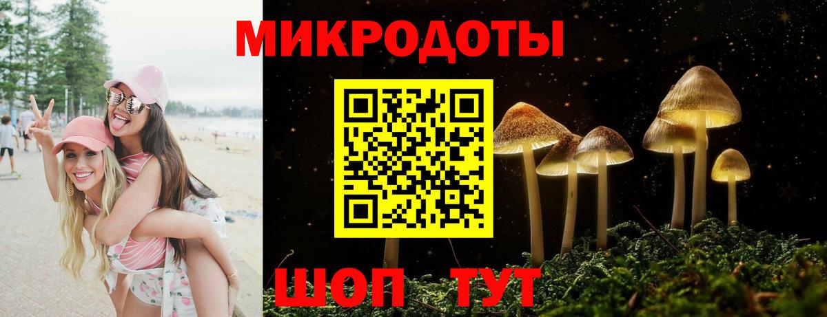 Буйнакск  хочу   Вход с VPN  Галлюциногенные грибы Magic Shrooms  Псилоцибиновые грибы Psilocybine cubensis 
